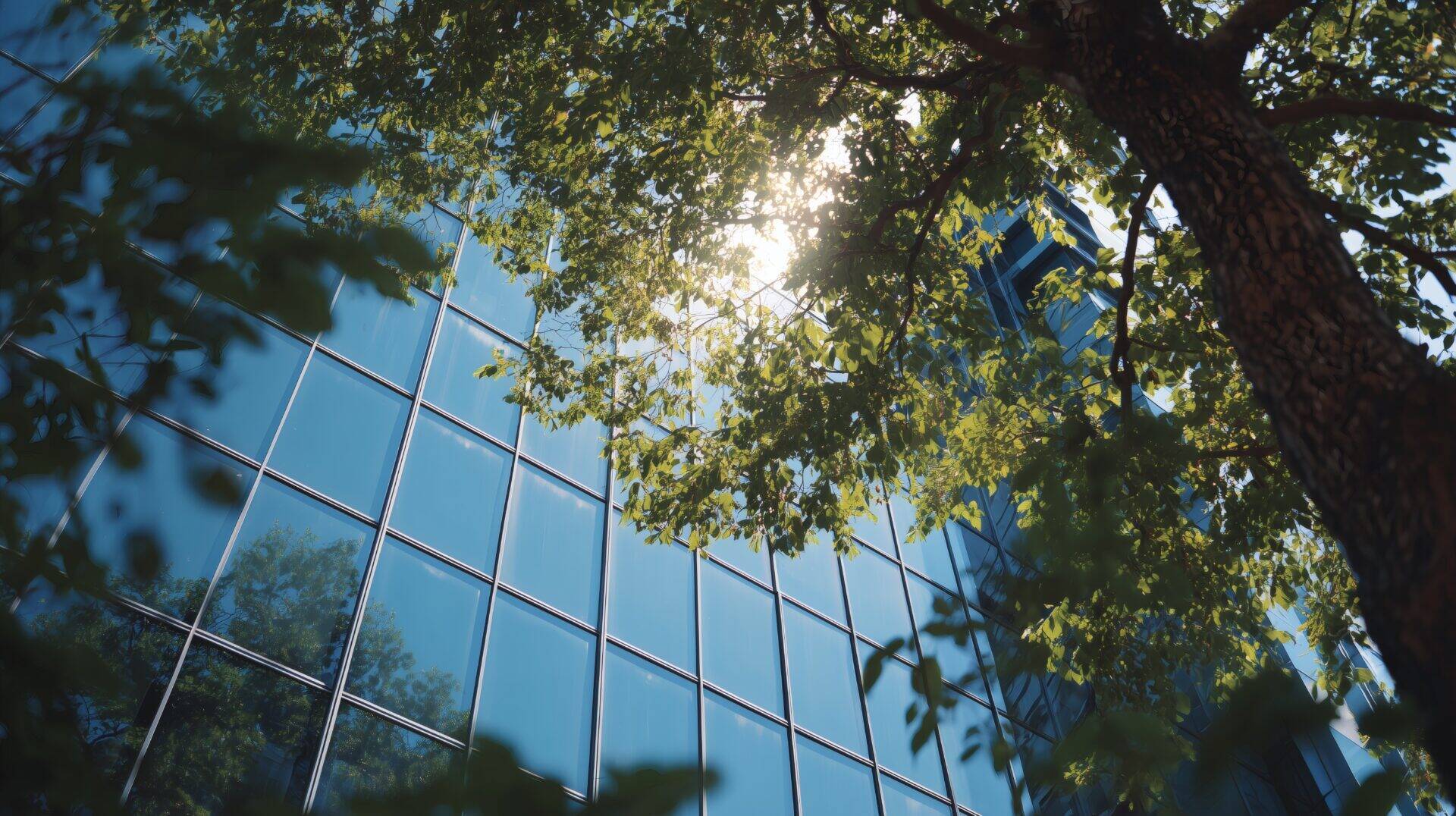 adobestock_1575012720.jpeg