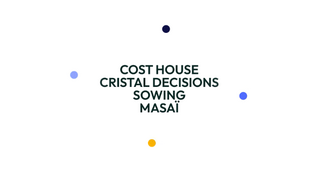 Cristal Decisions, Cost House et Sowing avancent désormais sous une même identité : MASAÏ.